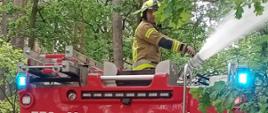 Ćwiczenia WOO. Teren Leśnictwa Górzno. Na dukcie leśnym stoi wóz strażacki. Na dachu znajduje się strażak, który operuje działkiem wodno-pianowym, z którego wypływa strumień wody. Do znajdującej się z tyłu pojazdu autopompy podłączny jest wąż strażacki. W tle drzewa.