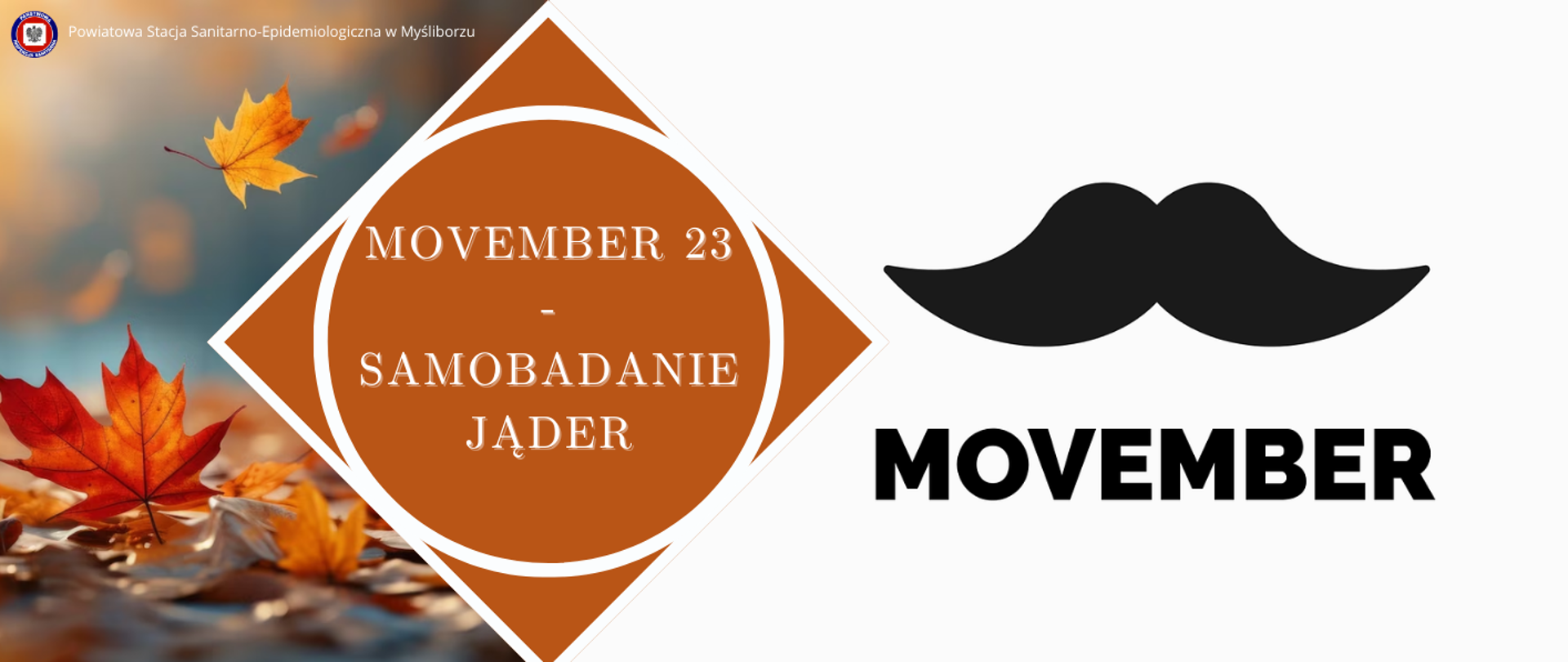 Baner Movember 23 - samobadanie jąder