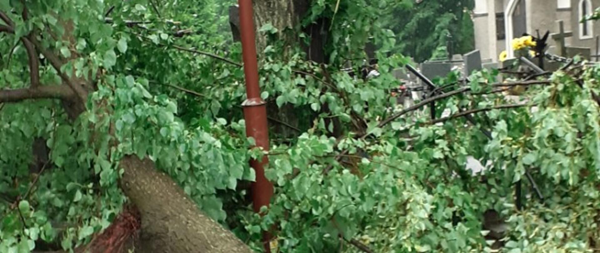 Zdjęcie przedstawiam zdarzenie związane z burzą.