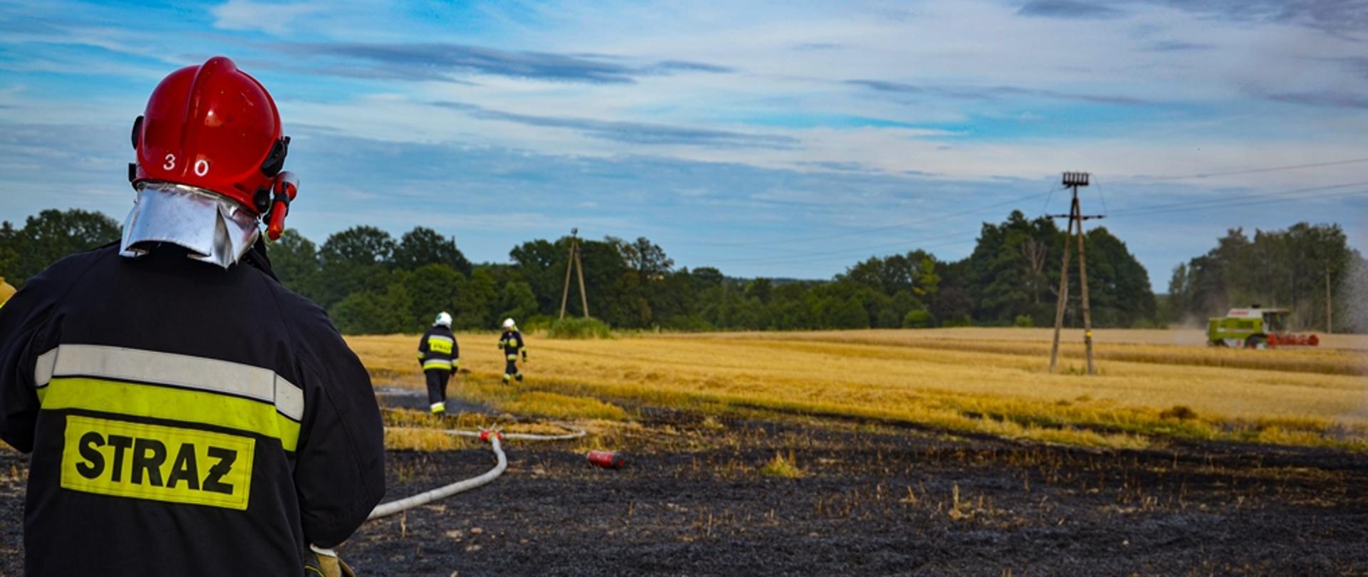 Stojący plecami strażak na tle spalonego ścierniska, w oddali widać kombajn zbożowy i rozwiniętą linie gaśniczą.