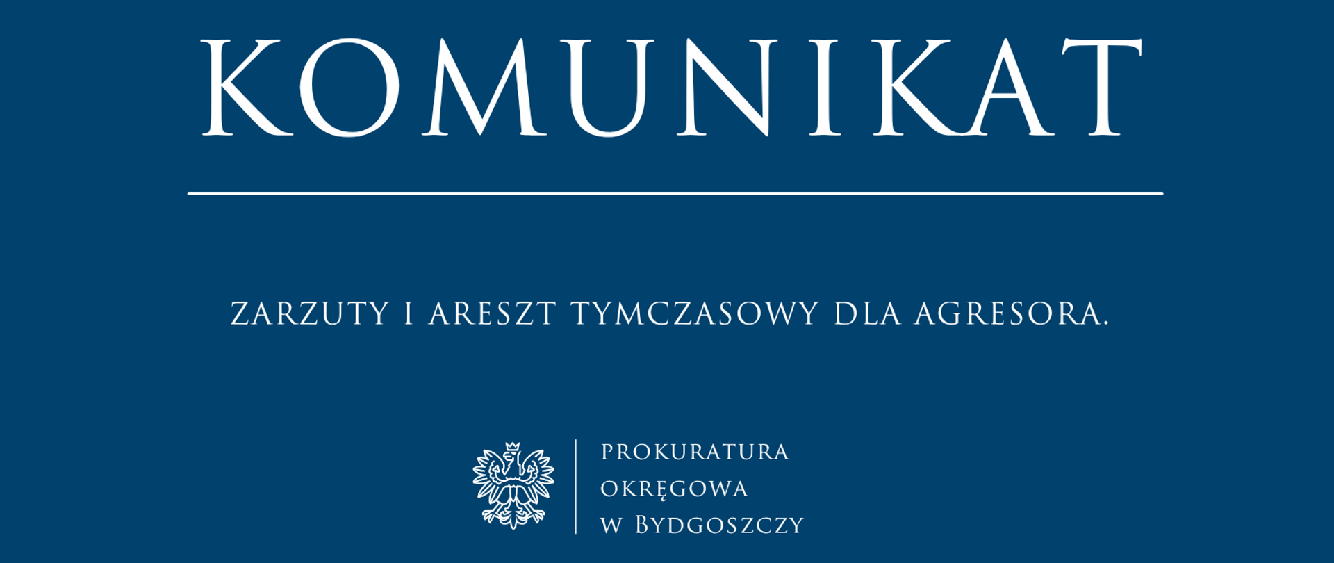 ZARZUTY I ARESZT TYMCZASOWY DLA AGRESORA