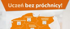 Uczeń bez próchnicy!