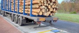 Za ciężki zespół pojazdów z przewożonym drewnem stoi w punkcie kontrolnym za rozłożonymi, przenośnymi wagami wielkopolskiej Inspekcji Transportu Drogowego.