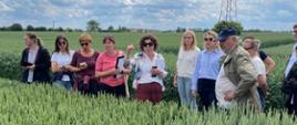 Szkolenia doskonalące kwalifikatorów 