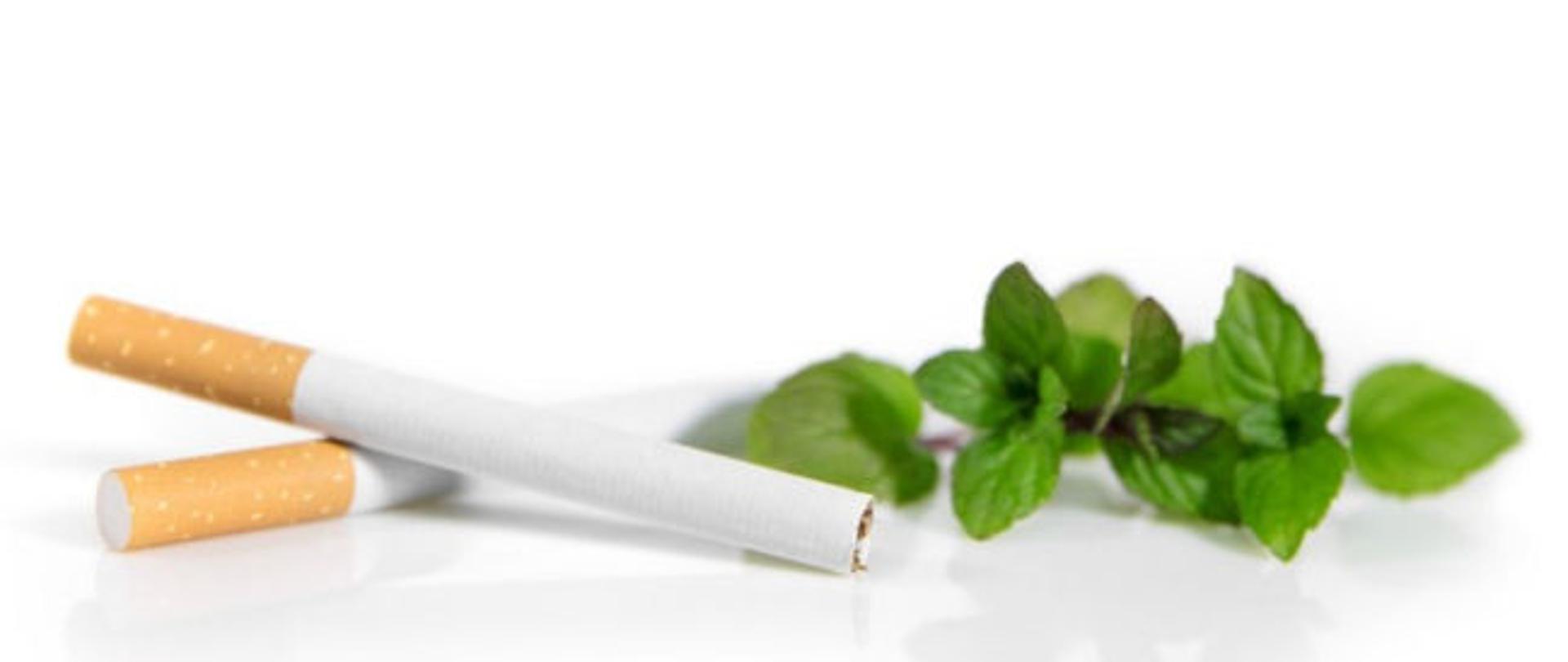 dwa papierosy i liść mięty