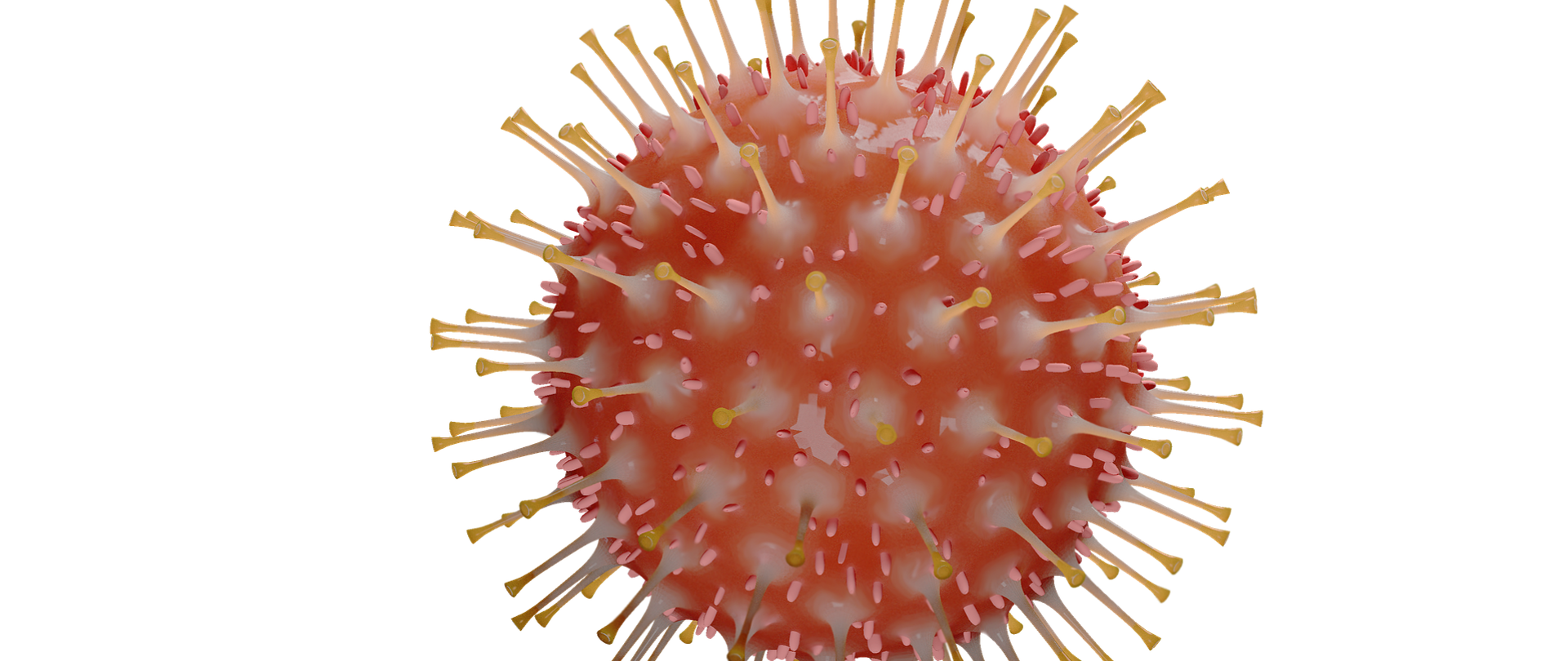 grafika koronawirusa 