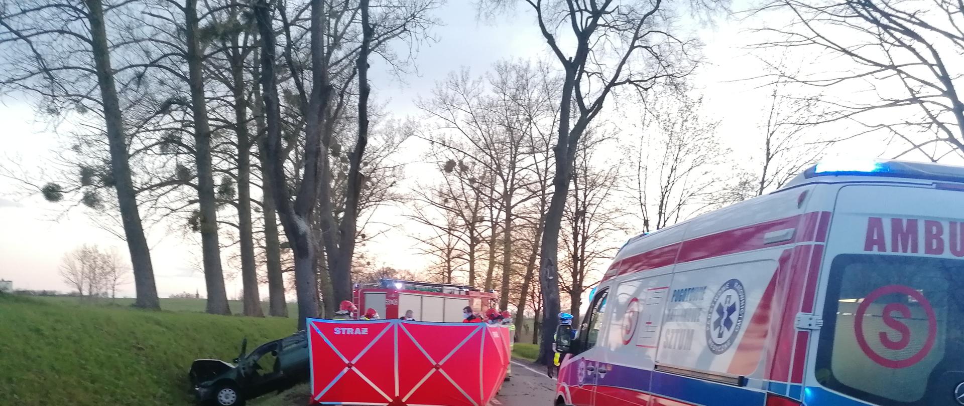 miejsce zdarzenia na drodze krajowe. Rozstawiony parawan, a po prawej stronie stoi karetka