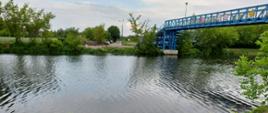 Widok z brzegu Kanału Żerańskiego, oba brzegi porośnięte są trawą, na przeciwległym brzegu widać drzewa i drogę, po prawej stronie nad wodą przechodzi most. Woda jest czysta.