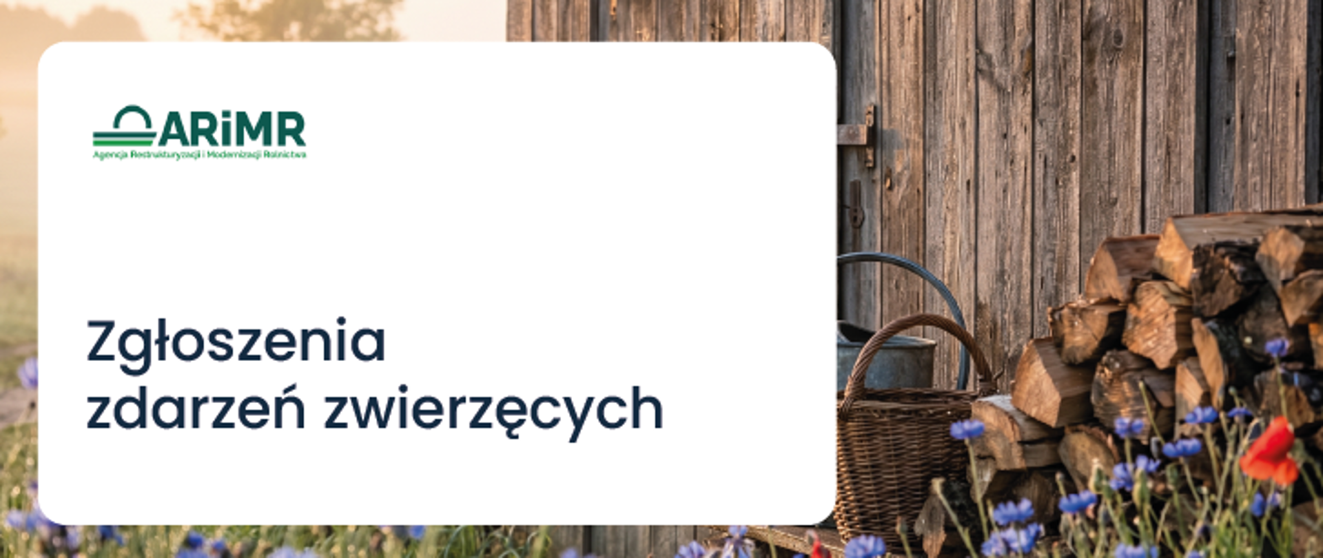 Zgłoszenia zdarzeń zwierzęcych - zdjęcie ilustracyjne 