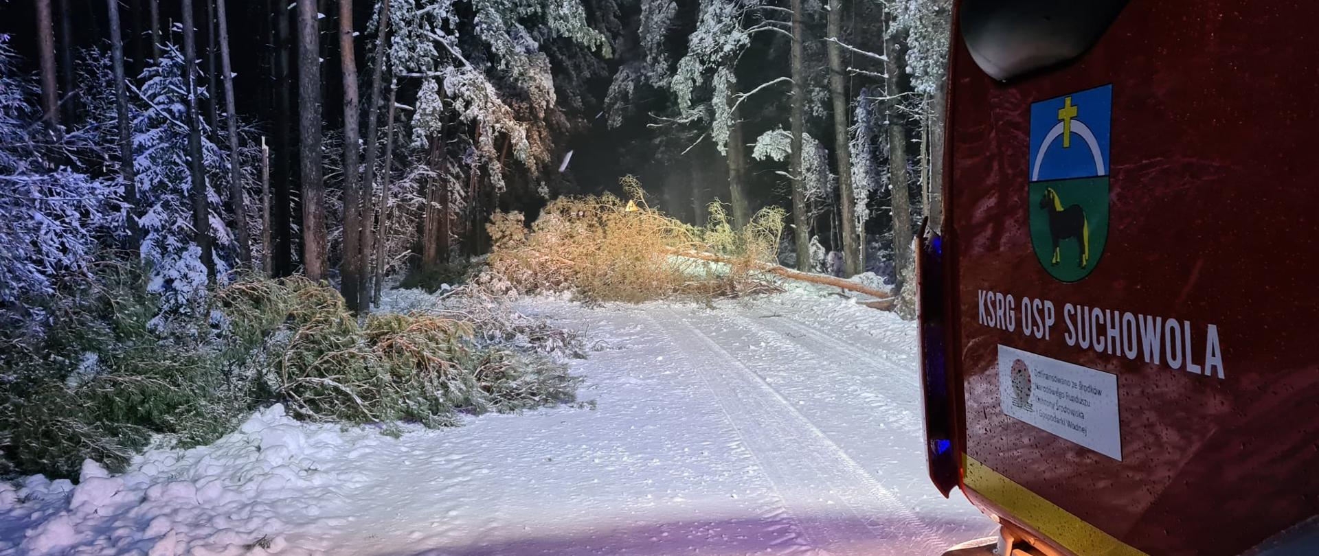 Zdjęcie przedstawia usuwanie drzew zwalonych przez zalegający śnieg