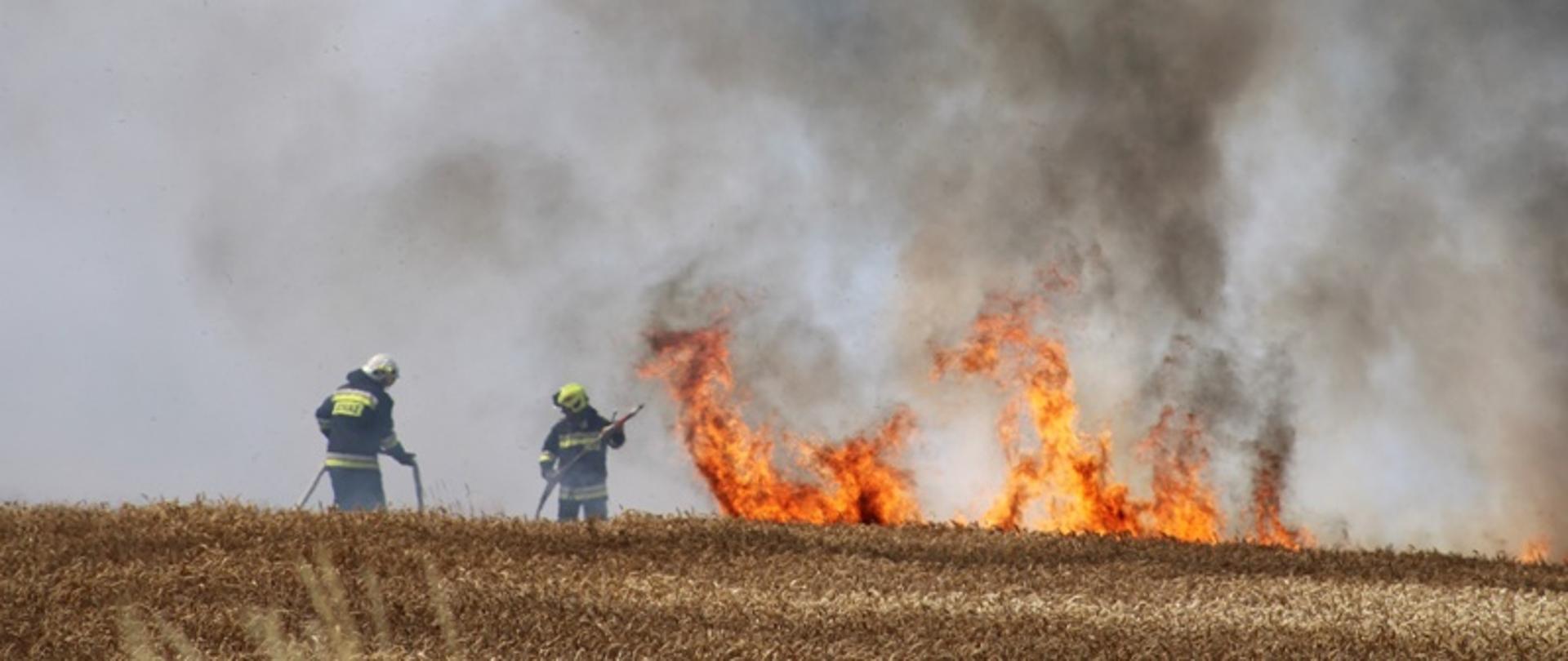 Pożar zboża na pniu - Mroczkowa.