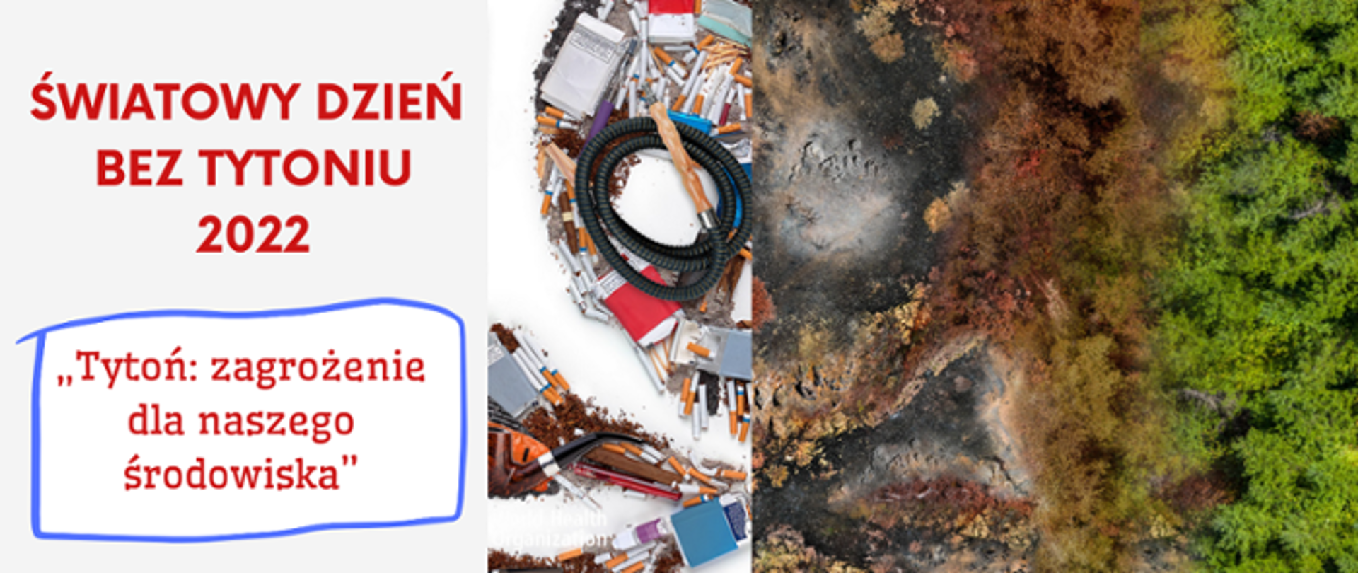 Dzień bez tytoniu