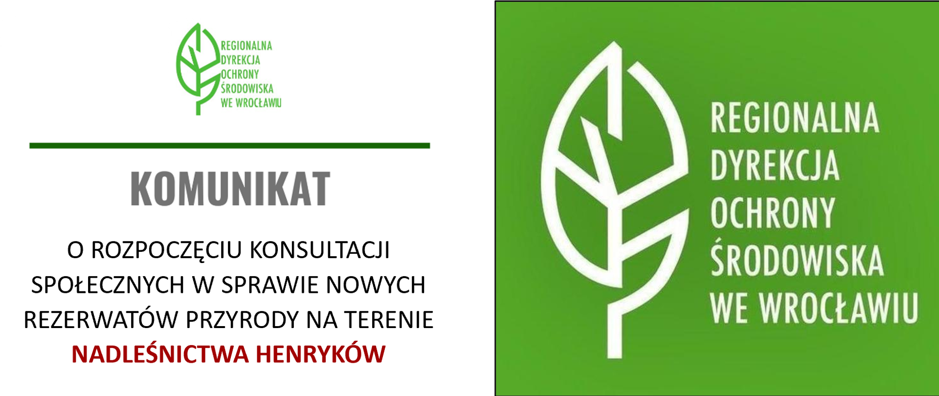 Konsultacje Henryków