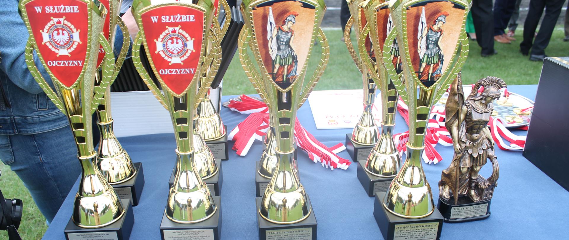 Zdjęcie przedstawia puchary 