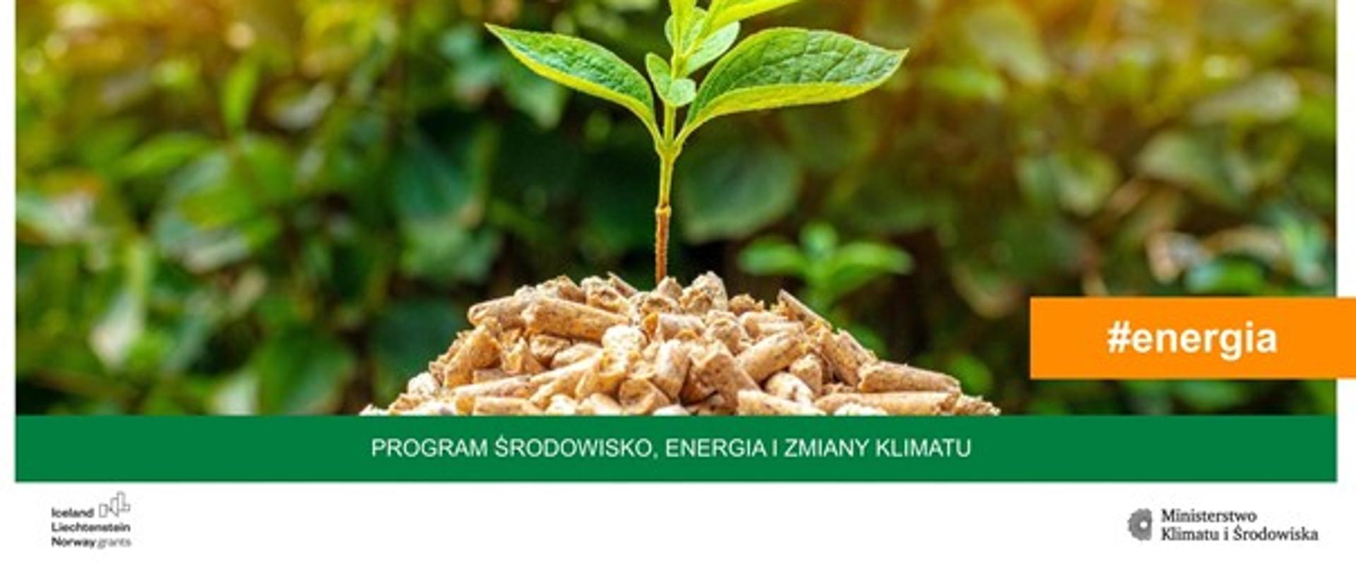Grafika ukazująca roślinę zieloną z napisem #energia