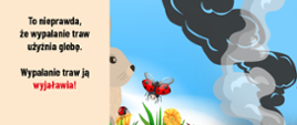 KAMPANIA "STOP POŻAROM TRAW"