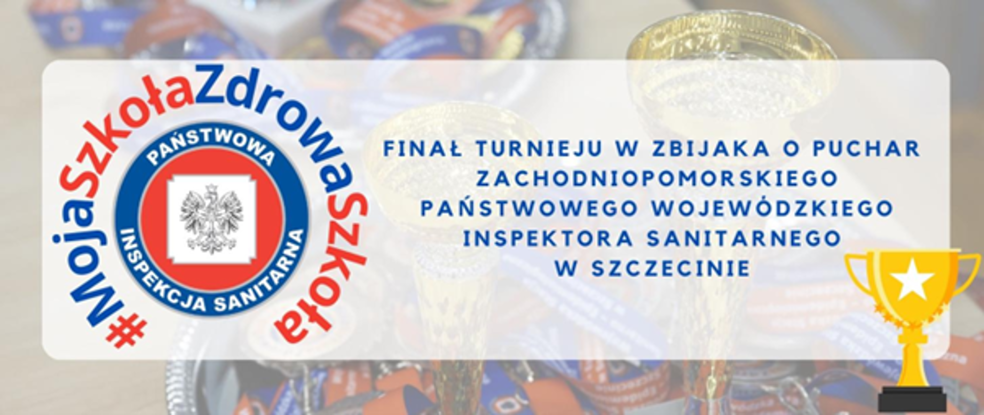 Finał turnieju w zbijaka o puchar Zachodniopomorskiego Państwowego Wojewódzkiego Inspektora Sanitarnego w Szczecinie 