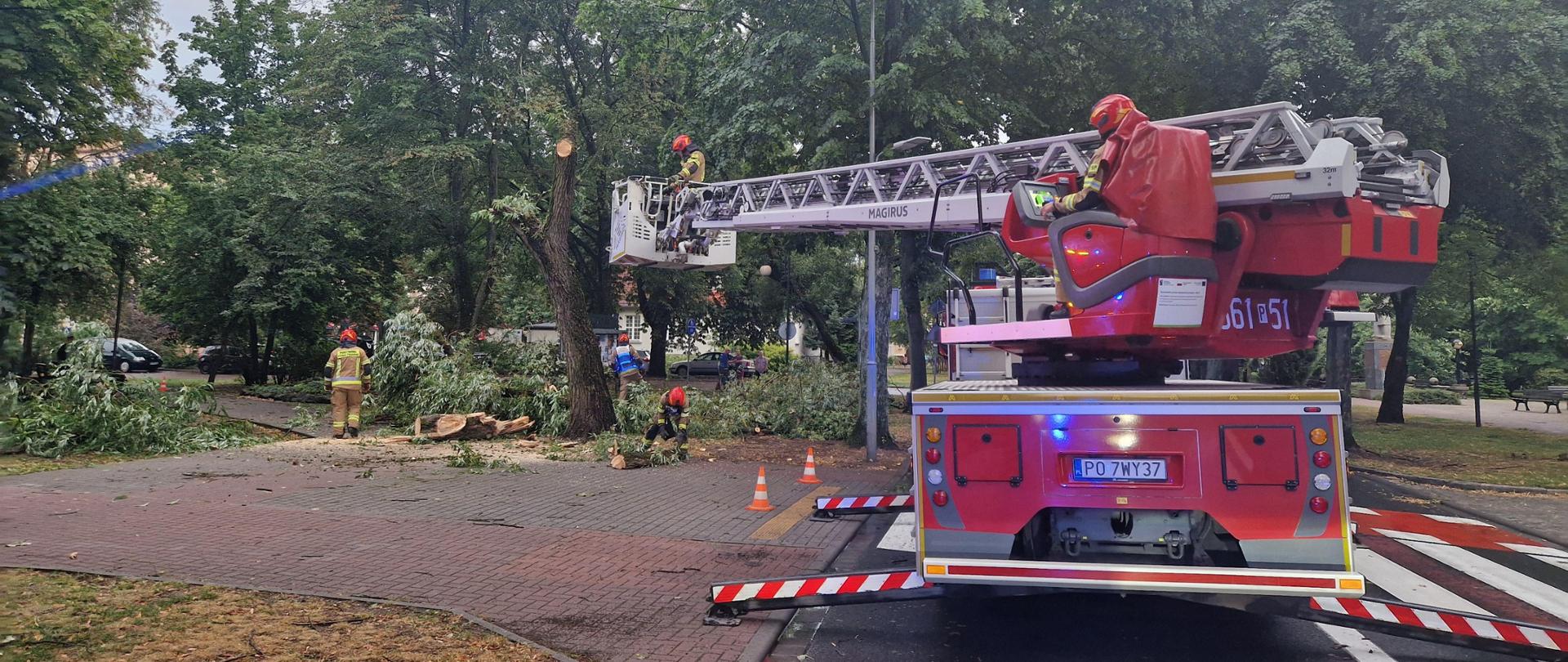 Strażacy podczas usuwania skutków silnych porywów wiatru 