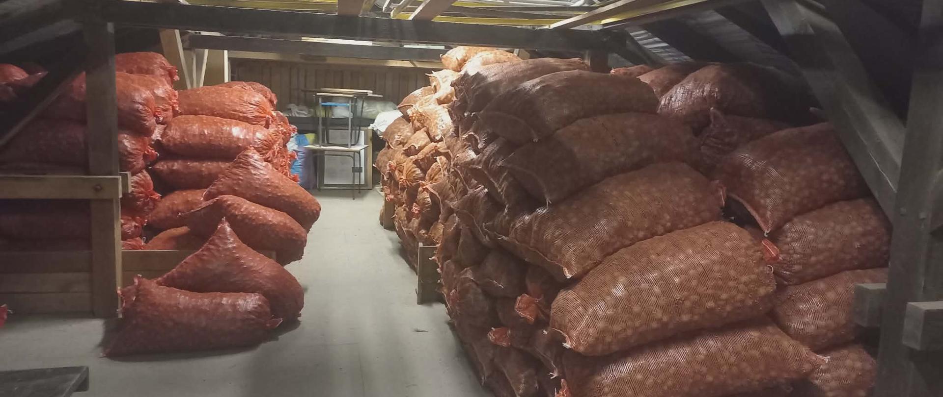Pomieszczenie gospodarcze, w którym znajdują się położone jeden na drugim duże czerwone plecione worki z materiałem siewnym