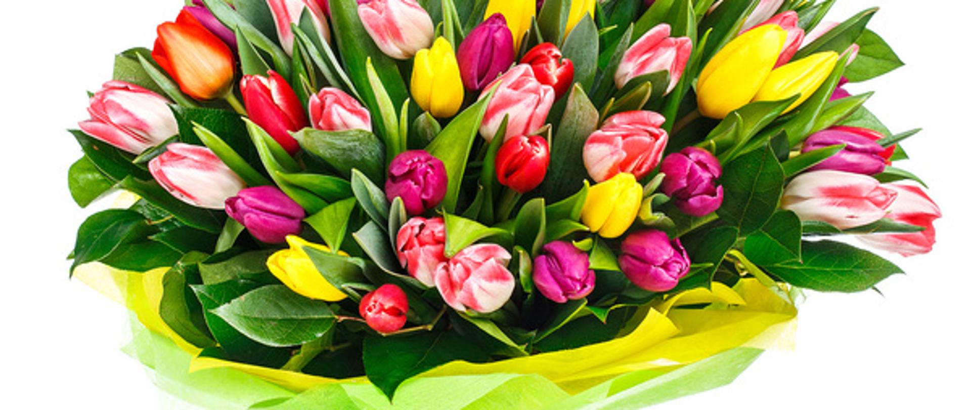 Zdjęcie obrazujące bukiet tulipanów