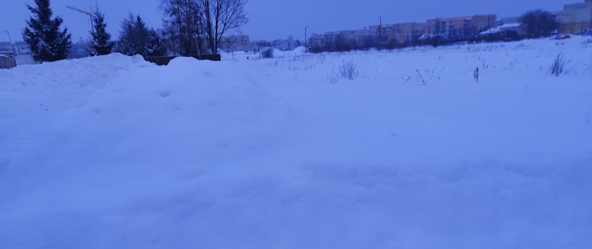 Na zdjęciu widoczny śnieg w tle drzewa i budynki 