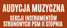 Plakat zapowiada audycję muzyczną sekcji instrumentów strunowych PSM II stopnia. U góry widnieje duży biały napis na brązowym tle: Audycja Muzyczna -Sekcji Instrumentów Strunowych PSM II stopnia. Po lewej stronie znajduje się zdjęcie osoby grającej na wiolonczeli w orkiestrze. Po prawej stronie w białej ramce umieszczono informację: 20 listopada, godz. 18:00, sala koncertowa. Niżej widnieje napis: Prowadzenie: Przemysław Czekaj. Na dole umieszczono nazwę szkoły: Państwowa Szkoła Muzyczna I i II stopnia im. Ignacego Jana Paderewskiego w Stalowej Woli, wraz z logo szkoły.