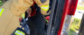 Strażak w jasnym mundurze bojowym próbuje się dostać do plastikowych elementów pojazdu wewnątrz busa.