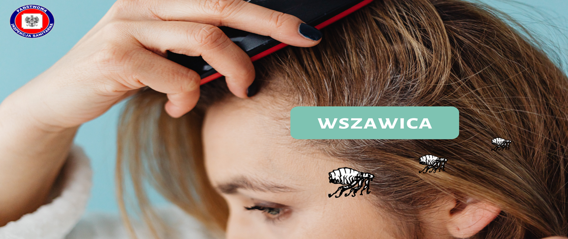 Wszawica – leczenie i zapobieganie. Fakty i mity o wszawicy.