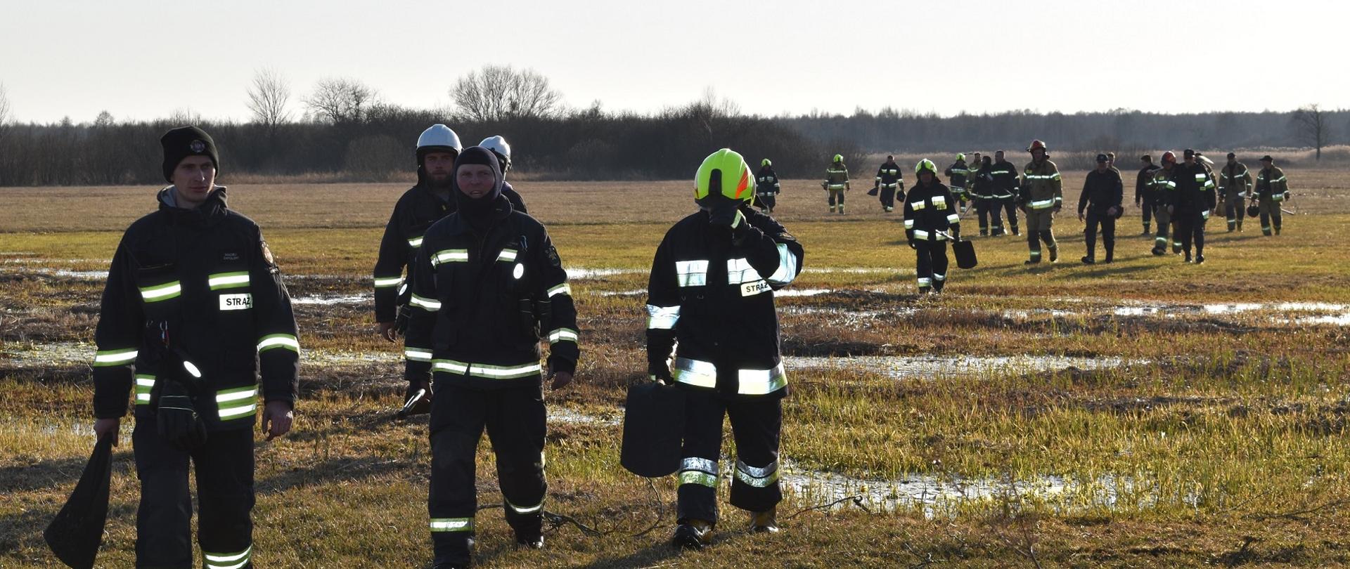 Zdjęcie przestawia strażaków z podręcznym sprzętem gaśniczym idących na front pożaru