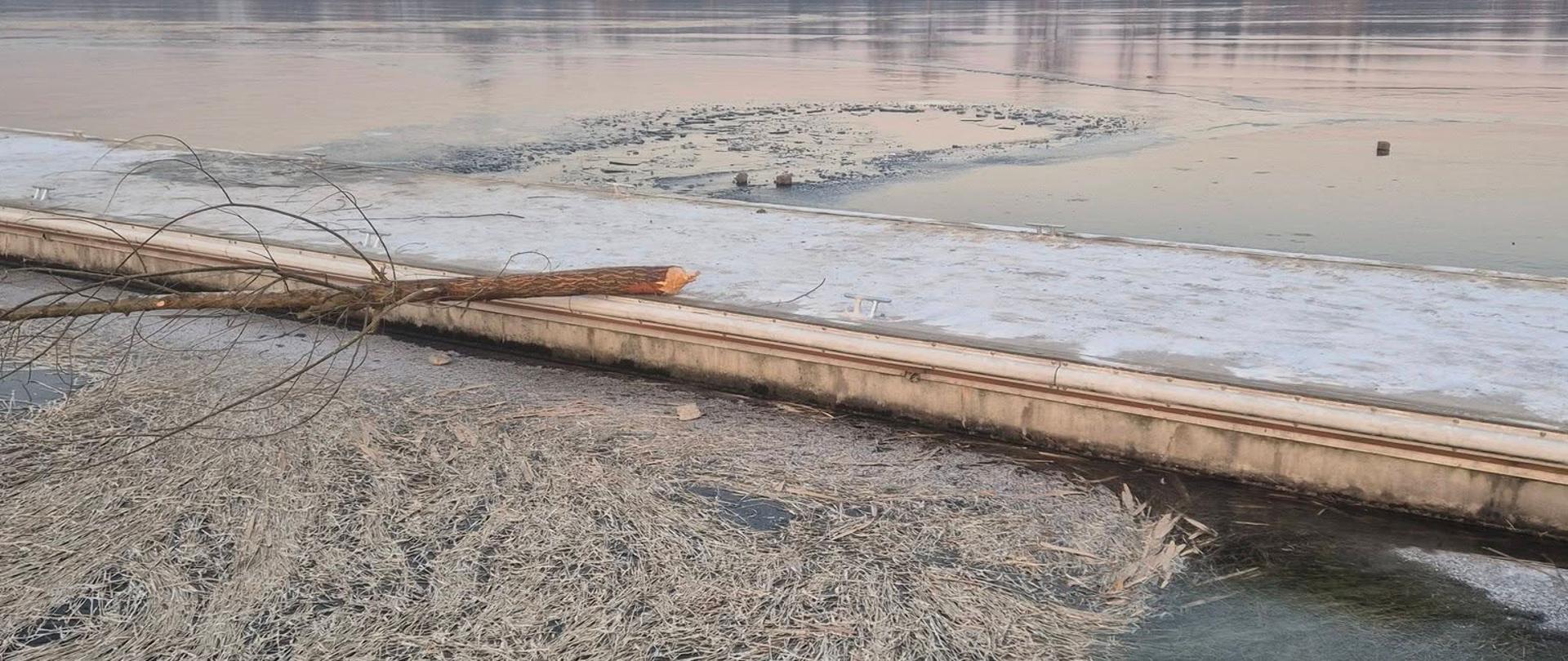 jezioro częściowo zamarznięte oraz pomost na którym leży gałąź 