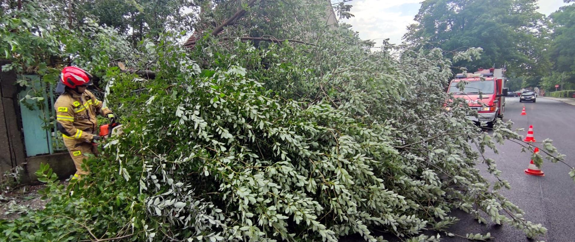 Zdjęcie przedstawia strażaka usuwającego złamane drzewo.