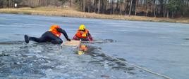 Zdjęcie przedstawia dwóch strażaków poubieranych w specjalne ubrania ochronne do prowadzenia działań ratowniczych na zamarzniętych zbiornikach wodnych. Jeden z nich znajduje się w przerębli pozorując osobę potrzebującą pomocy pod, którą załamał się lód. Drugi z nich jest ratownikiem, czołga się po lodzie w stronę przerębli. Jedną ręka ciągnie za sobą drabinę. Jego zadaniem jest udzielić pomocy osobie poszkodowanej.