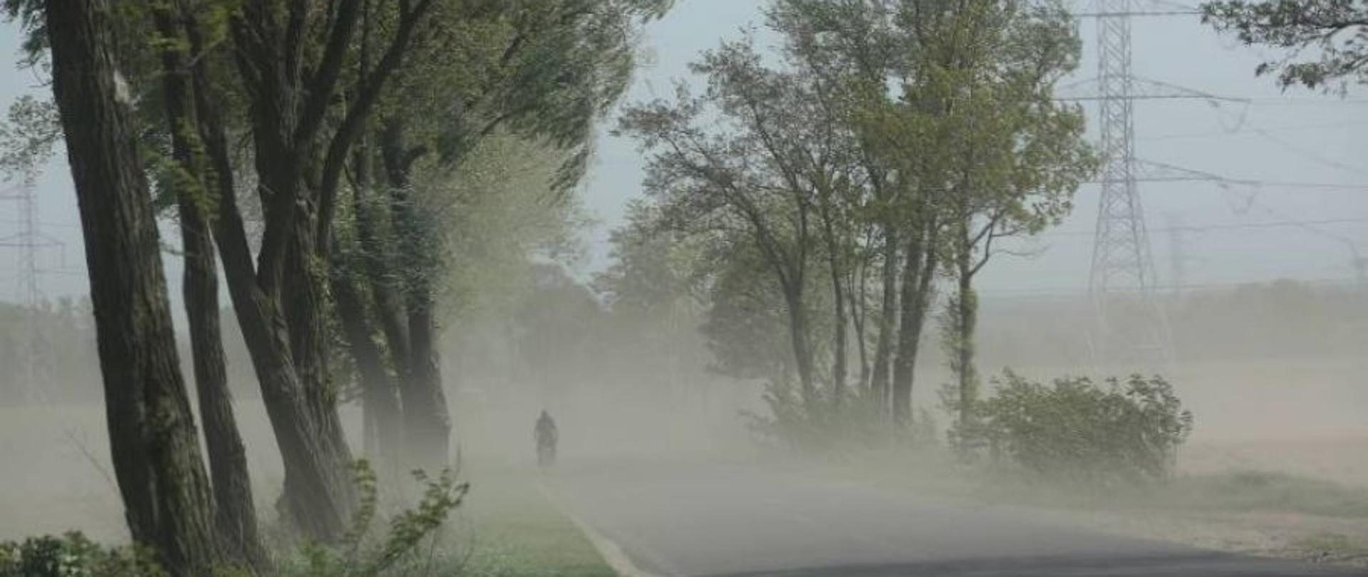 Silne wiatry na terenie powiatu górowskiego.