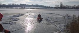 Na zdjęciu widoczni strażacy podczas szkolenia z ratownictwa lodowego na zbiorniku Kępina. Na zamarzniętym zbiorniku wycięty jest przerębel, w którym była osoba poszkodowana. Dwóch ratowników przy pomocy węgorza ratowniczego wyciąga poszkodowaną osobę z wody. 