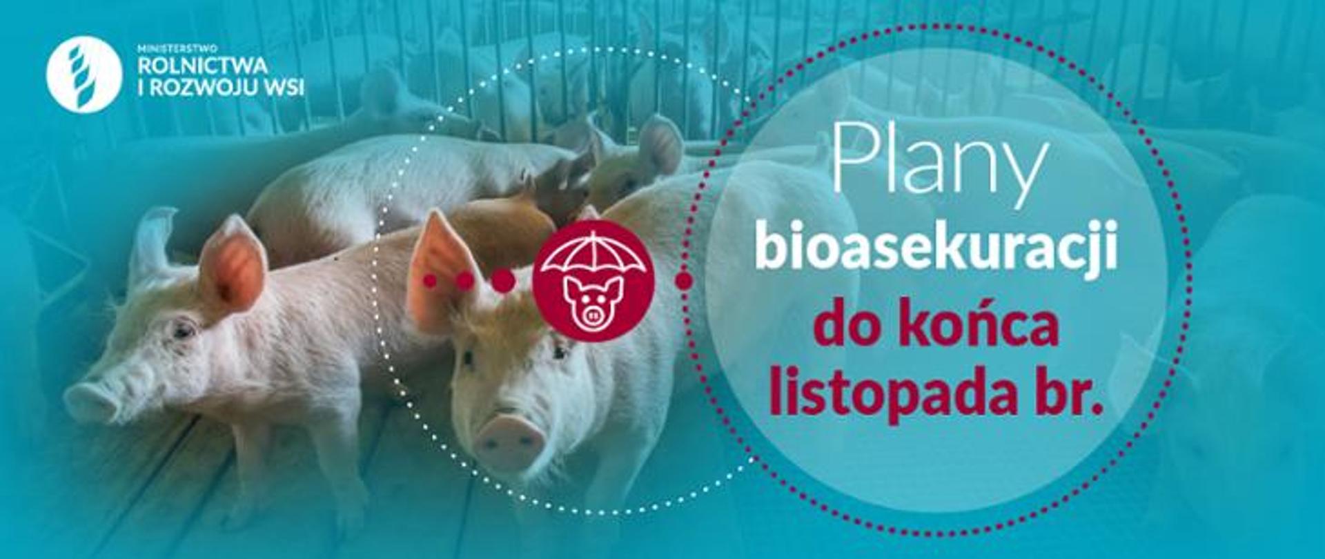 plan_bioasekuracji