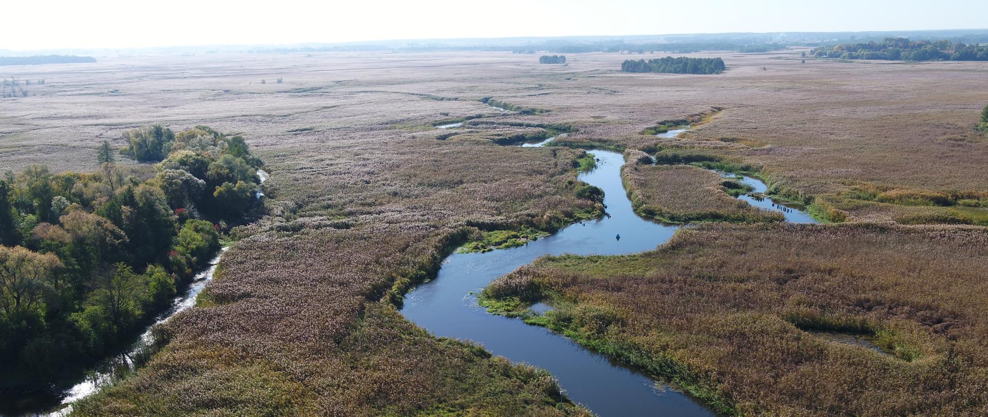 Narwiański PN fot. Agnieszka Pruszyńska