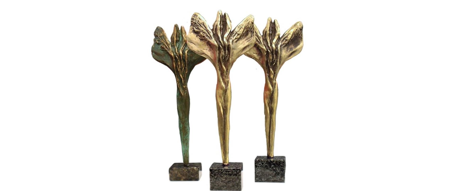 Grafika przedstawia statuetki będące nagrodami w corocznym konkursie Wojewody Lubuskiego pn. Społecznik Roku.