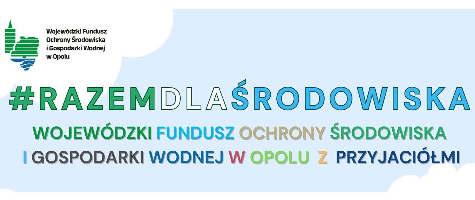 Piknik Urodziny Plakat - 1