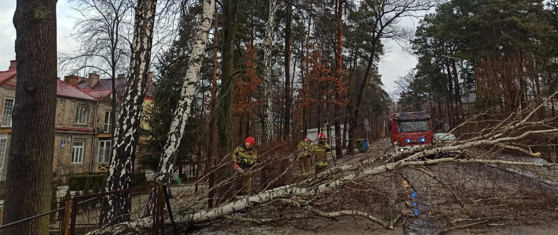 Złamany konar brzozy blokuje drogę przejazdową. Strażacy usuwają drzewo z jezdni przecinając pilarką na mniejsze kawałki. W tle stoi samochód pożarniczy.
