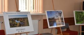 wystawa zdjęć 