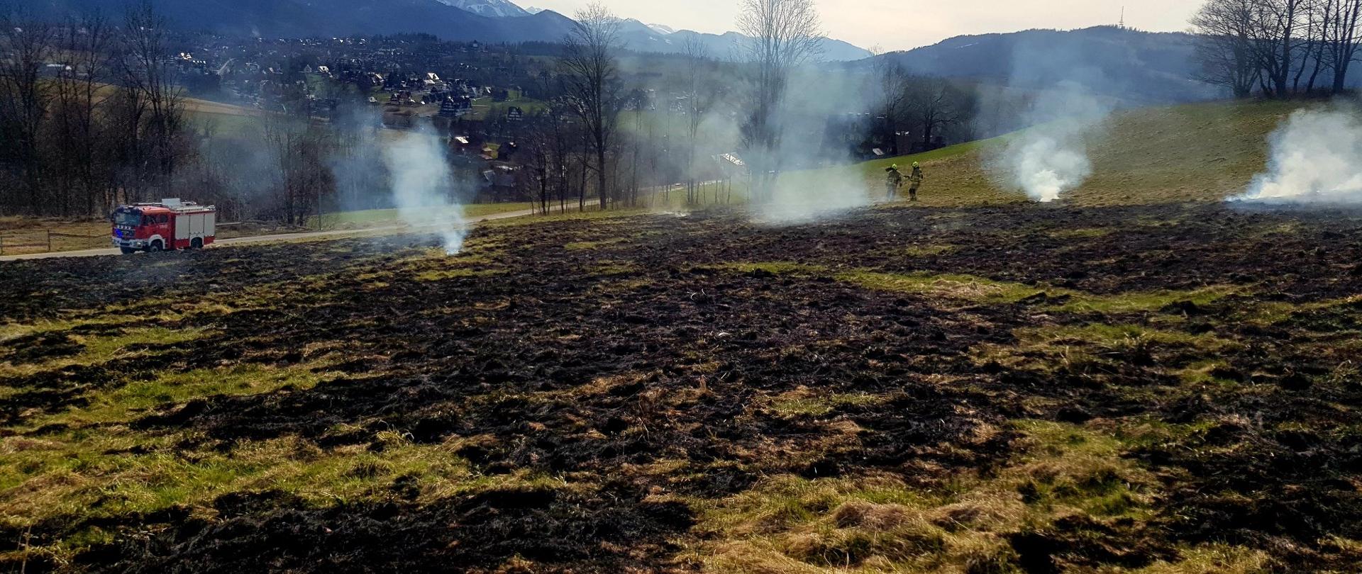 Pożar traw na Olczy