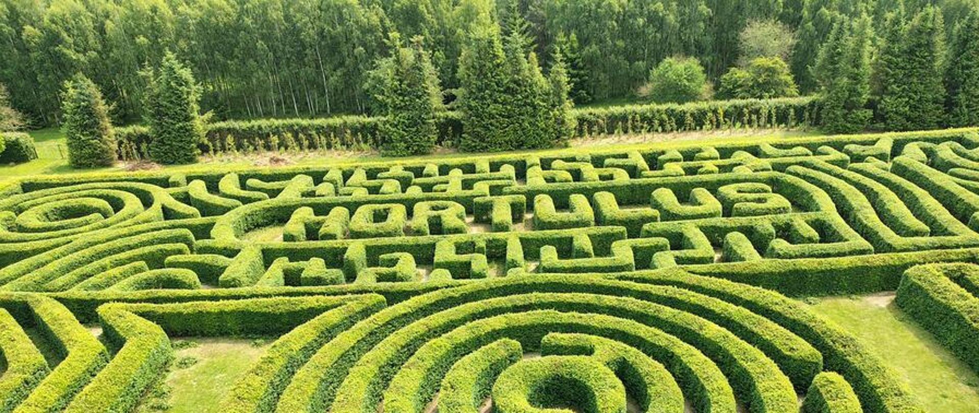 Zdjęcie przedstawia labirynt utworzony z grabów