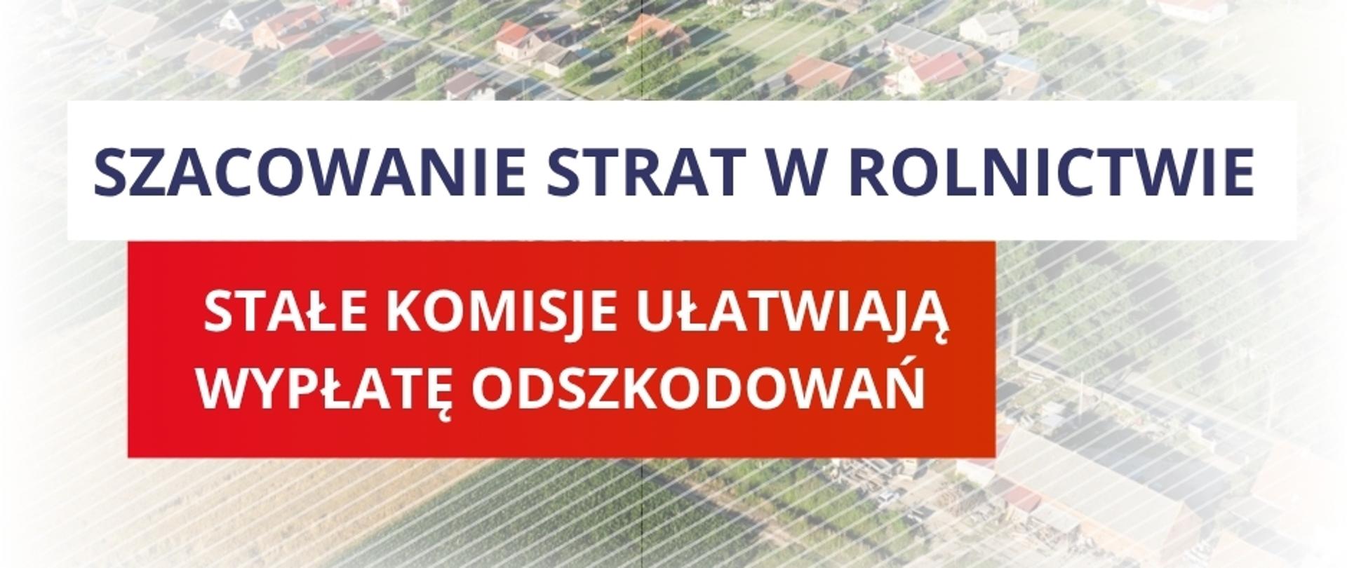 Grafika informacyjna 