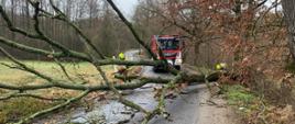 Zdjęcie przedstawia asfaltową drogę na której leży przewrócone jedno z drzew. Za powalonym drzewem stoi czerwony strażacki samochód ciężarowy. Przy pniu i konarach z pilarkami spalinowymi pracują ubrani w piaskowe mundury strażacy.