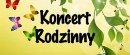 Na jasnozielonym tle, motywy zielonych liści oraz kolorowych motyli. U góry w lewym rogu nazwa Państwowa Szkoła Muzyczna I i II stopnia w Żaganiu. Poniżej informacje o koncercie, na dole symbol klucza wiolinowego, pięciolinii wraz z nutkami. Na dole miejsce i data koncertu, 
