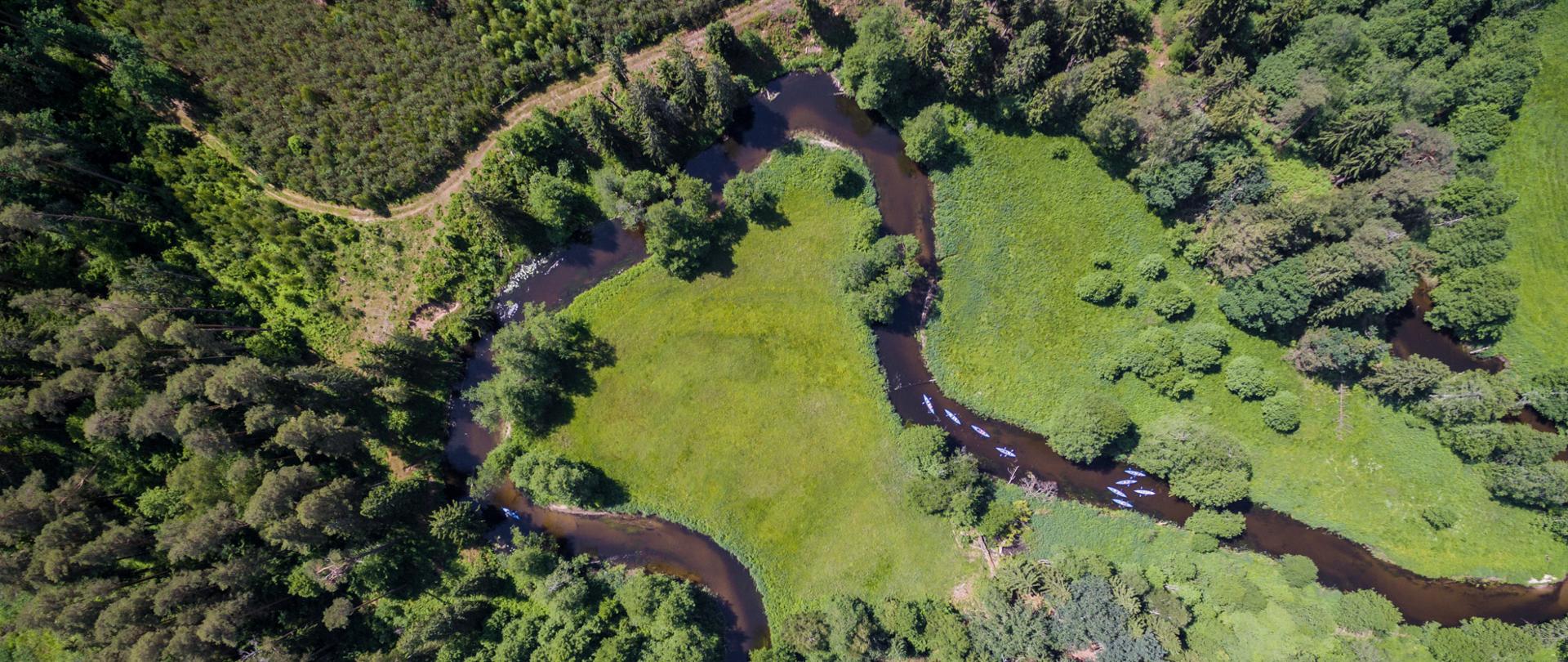 Widok z lotu ptaka na meandrującą Czarną Hańczę otoczoną gęstym lasem i zielonymi łąkami. Na spokojnej rzece płyną kajaki uczestników spływu.