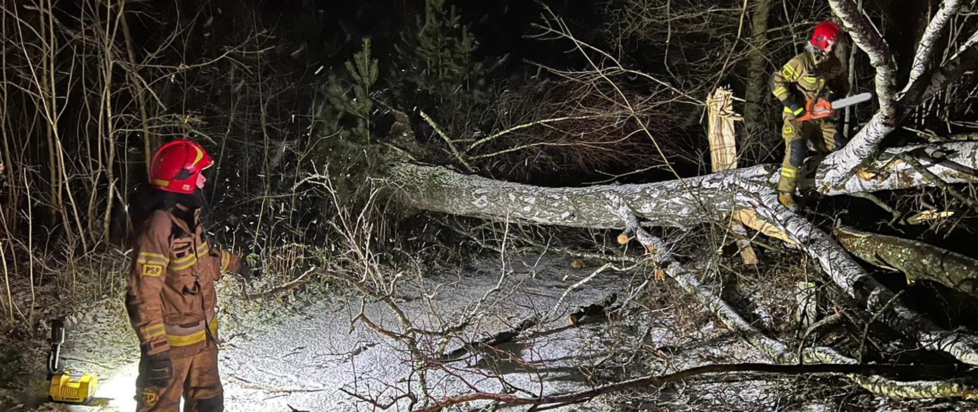 Na zdjęciu widać strażaków usuwających przewrócone drzewo na ulicę. 