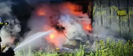 płonący budynek gospodarczy objęty całkowicie pożarem, na który skierowany jest prąd gaśniczy przez strażaka 