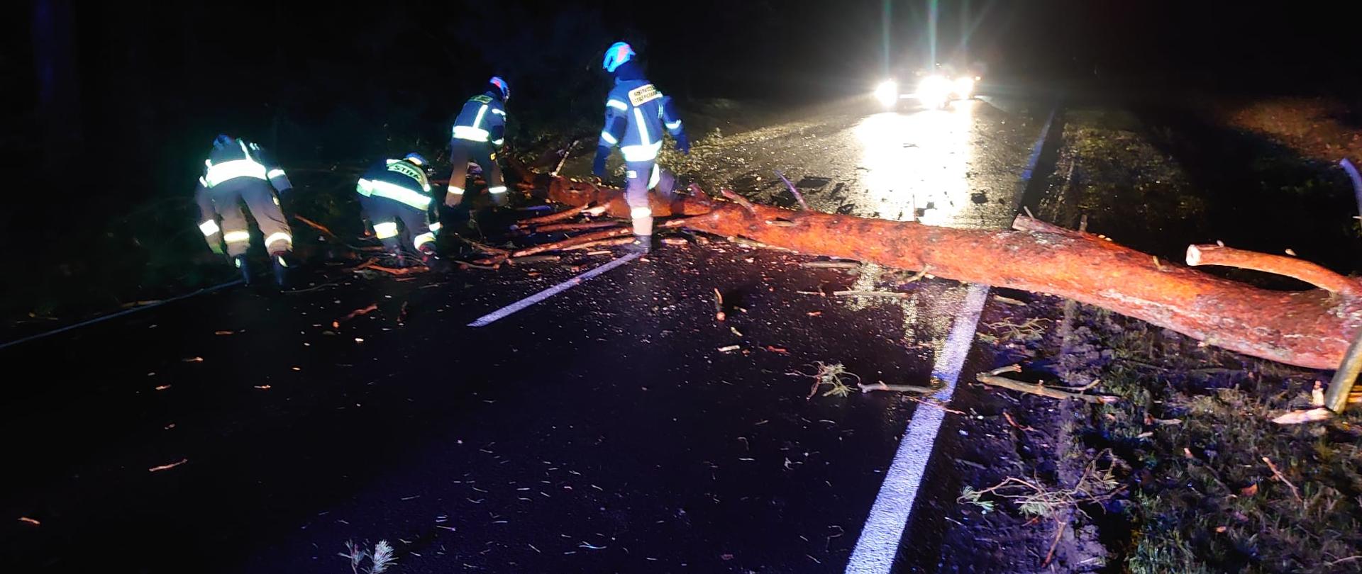 Noc, strażacy usuwają drzewo leżące na jezdni.