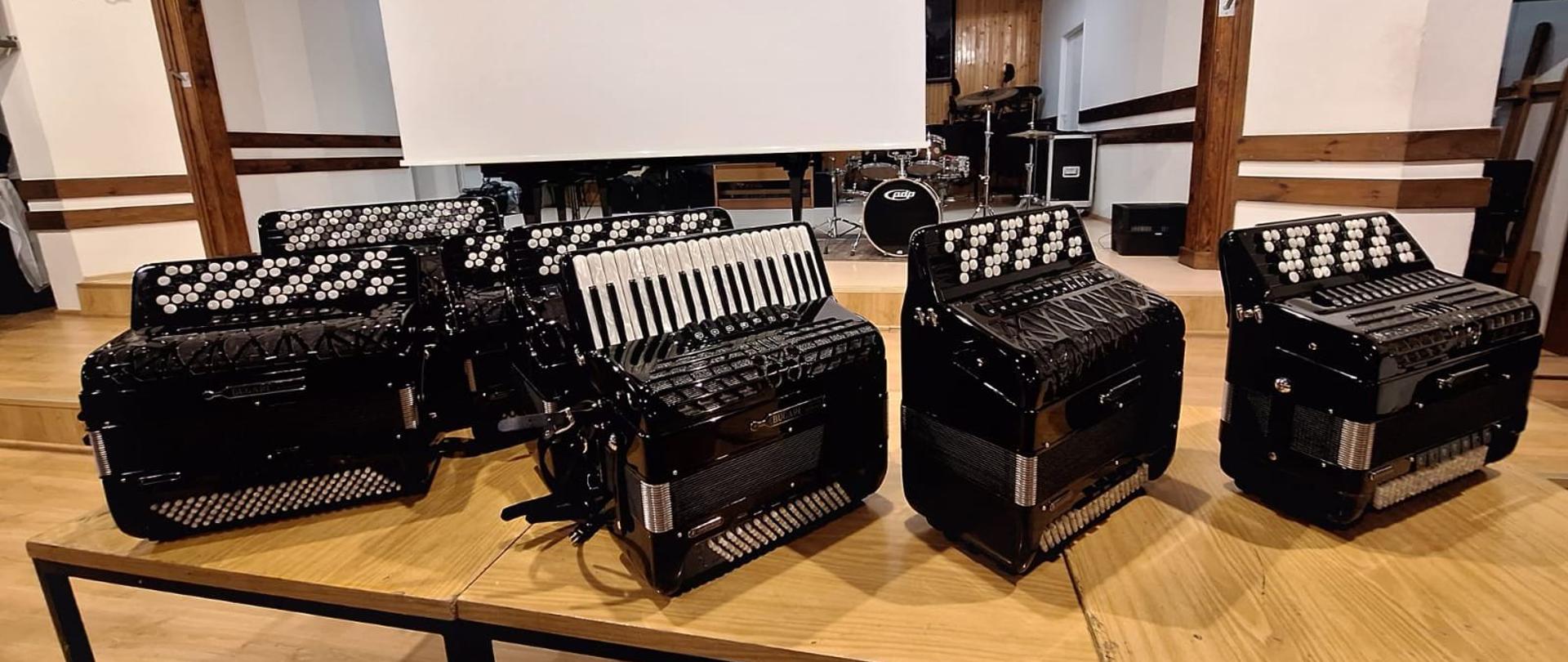 Mistrzowskie Warsztaty Akordeonowe z dr. Eneaszem Kubitem - panorama